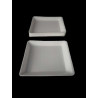 Bandeja descartable telgopor expandido . N19. X25U.