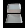 Bandeja descartable telgopor expandido . N25. X25U.