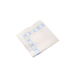 Servilleta ECO. para entregar al servir. 18X18 x700U aprox..