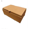 Caja microcorrugada. Torpedo lomo +12 empanadas 28x21,5x6,5. X25U.