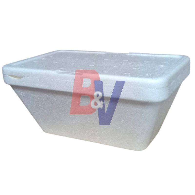 Pote térmico rectangular helado descartable 1kg c/ tapa X10U…